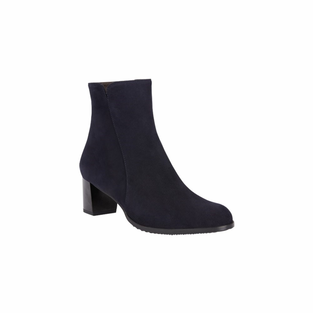 Bleu Marine Femme Bottines Brunate Daily Chic | DQU-15548231